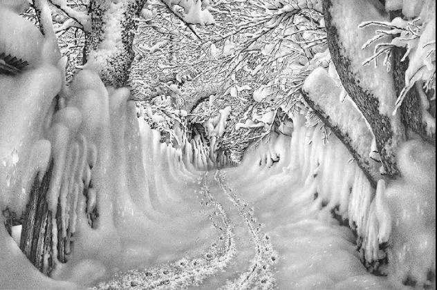 雪景限時(shí)領(lǐng)取，但畫畫，什么時(shí)候都不算晚