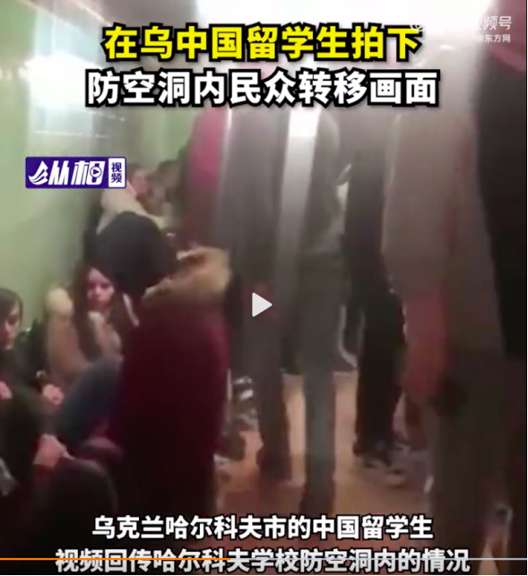「俄烏交戰」愿 “槍彈成花，世間明媚”